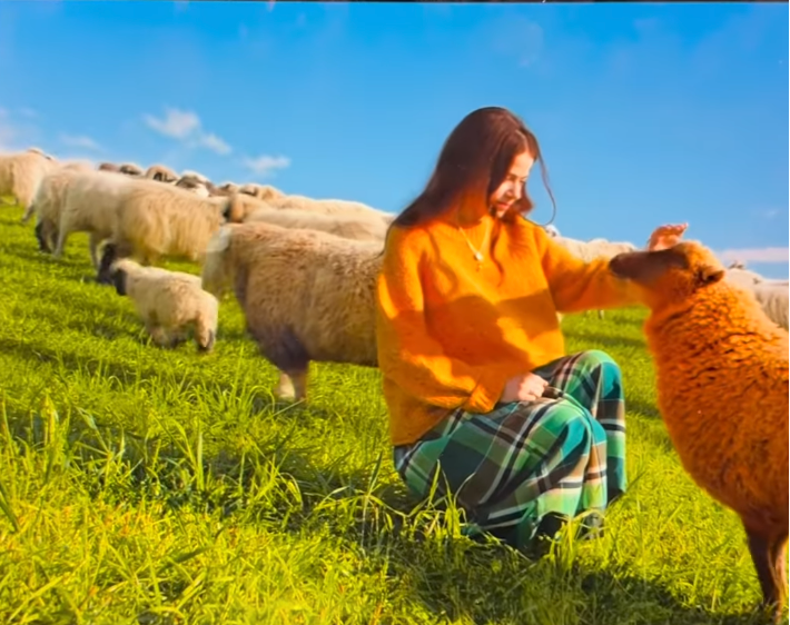 Winter Lamb Sweater - KAL Fridays 5-7pm